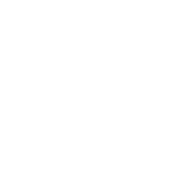 Github icon